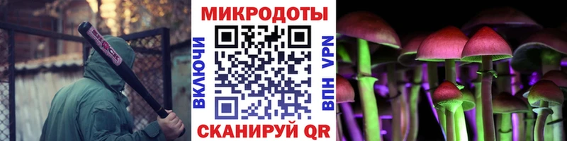 маркетплейс Telegram  МЕГА вход  Камышин  купить   Псилоцибиновые грибы Psilocybine cubensis 