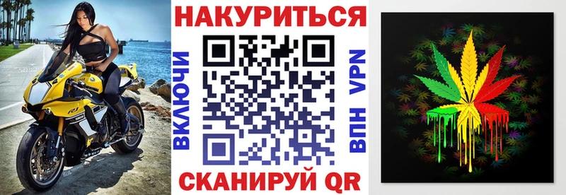 где купить наркоту  Камышин  Каннабис сатива 